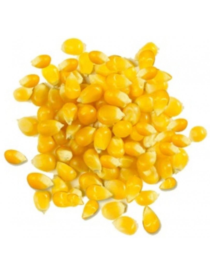 Giusto's Whole Yellow Corn (1x25LB )