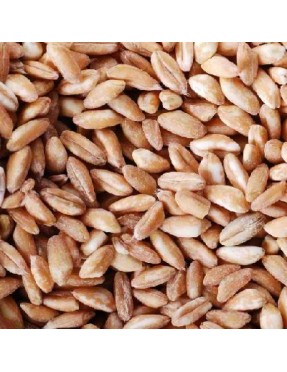 Vita-Spelt Kernels (1x25LB )