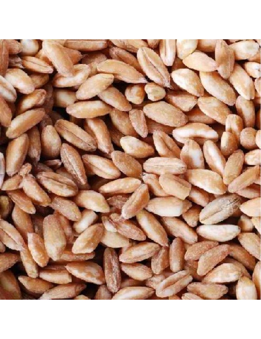 Vita-Spelt Kernels (1x25LB )