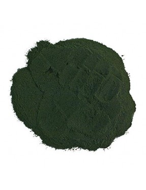 Frontier Herb Spirulina Powder (1x1lb)