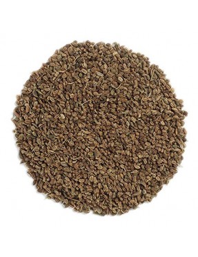 Frontier Herb Whole Celery Seed (1x1lb)