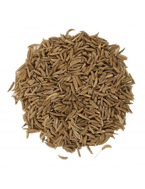 Frontier Caraway Seed, Whol (1x1LB )