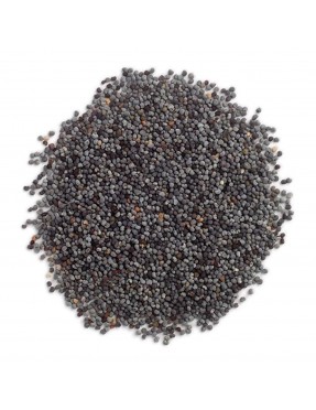 Frontier Herb Poppy Seed (1x1lb)