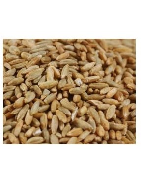 Grains Rye Berries (1x25LB )