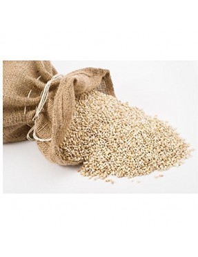 Grains Pearled Barley (1x25LB )