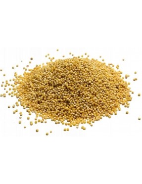 Grains Hulled Millet (1x25LB )