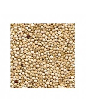 Grains Quinoa Bulk (1x25LB )