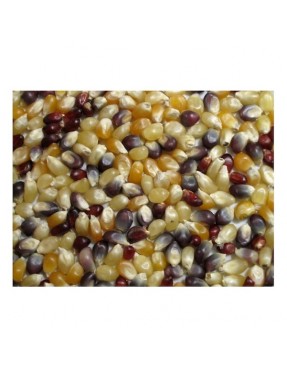 Grains Multi Colored PopCorn (1x25LB )