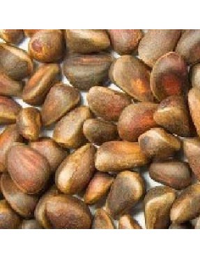 Nuts Pine Nuts (1x5LB )