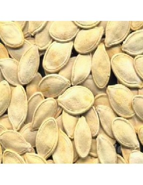 Seeds Pumpkin Seed,Chinese (1x27.5LB )