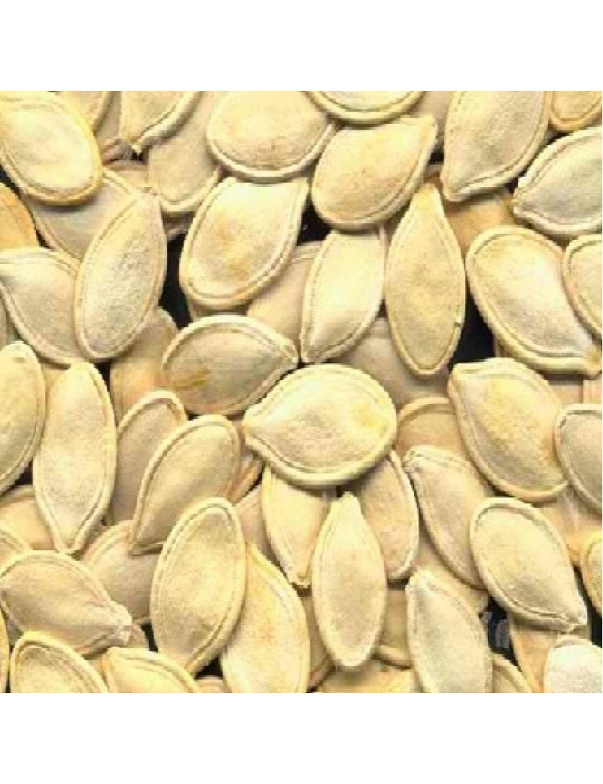 Seeds Pumpkin Seed,Chinese (1x27.5LB )