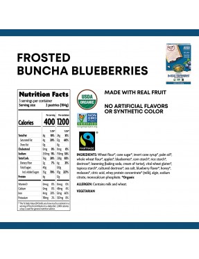 Nature's Path Frosted Blueberry Toaster Pastry (12x11 Oz)